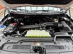 2027 Ford Expedition 4WD SUV for sale #270015 - photo 31