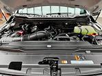 2026 Ford F-350 Regular Cab SRW 4x4 Pickup for sale #C260211 - photo 22