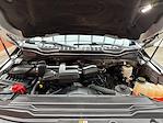 2017 Ford F-250 Regular Cab 4WD Pickup for sale #C260396A - photo 8