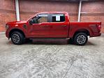 2023 Ford F-150 SuperCrew Cab 4WD Pickup for sale #F20092 - photo 3
