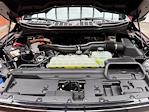 2025 Ford F-150 SuperCrew Cab 4WD Pickup for sale #F20374 - photo 28