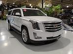 2019 Cadillac Escalade ESV 4WD SUV for sale #F20387 - photo 1