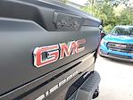 2024 GMC Sierra 1500 Crew Cab 4WD Pickup for sale #TE25504A - photo 13