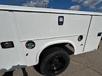 2024 Chevrolet Silverado 6500 Regular Cab 4WD Knapheide Service Truck for sale #24MD5F - photo 5