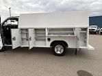 2025 Chevrolet Express 3500 Regular Cab RWD Reading Service Utility Van for sale #25G114W - photo 17