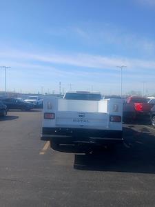 2025 Chevrolet Silverado 2500 Double Cab 4WD ROYAL STEEL SERVICE BODY for sale #25K454W - photo 2