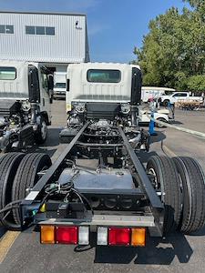 New 2025 Chevrolet LCF 5500XD Regular Cab 4x2 Cab Chassis for sale #25LC34F - photo 2