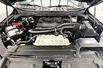 2023 Ford F-150 SuperCrew Cab 4WD Pickup for sale #1FK12024 - photo 11
