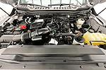 2023 Ford F-250 Regular Cab 4WD Pickup for sale #1GK12284 - photo 9