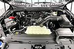 New 2025 Ford F-150 XLT SuperCrew Cab for sale #FK12505 - photo 12