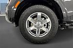 2025 Ford Ranger SuperCrew Cab 4x4 Pickup for sale #FM11919 - photo 13