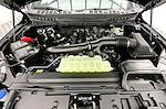 New 2026 Ford F-150 Platinum SuperCrew Cab for sale #GK12471 - photo 12