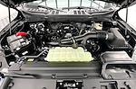 New 2026 Ford F-150 STX SuperCrew Cab for sale #GK12494 - photo 11