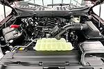 New 2026 Ford F-150 XLT SuperCrew Cab for sale #GK12498 - photo 12