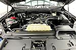 2024 Ford F-150 SuperCrew Cab 4x4 Pickup for sale #PT12183 - photo 10