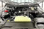 2023 Ford F-150 Regular Cab 4x2 Pickup for sale #PT12455 - photo 10
