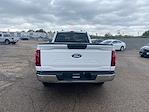 2024 Ford F-150 Regular Cab RWD Pickup for sale #PT12746 - photo 7