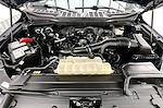 Used 2023 Ford F-150 XLT SuperCrew Cab for sale #PT12943 - photo 11