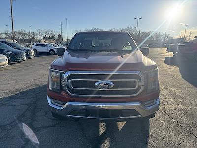 Used 2023 Ford F-150 - photo 1