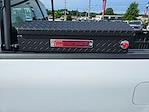 2024 Ford F-150 Regular Cab 4x2 Pickup for sale #24T2499 - photo 12
