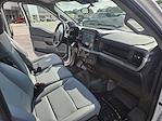 2024 Ford F-150 Regular Cab 4x2 Pickup for sale #24T2499 - photo 18