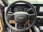 2025 Ford F-450 Crew Cab DRW 4x4 Cab Chassis for sale #25T1138 - photo 13
