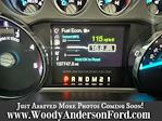 2016 Ford F-250 Crew Cab 4WD Pickup for sale #25T750A - photo 11