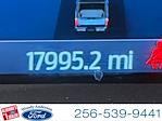 2024 Ford F-250 Crew Cab 4WD Pickup for sale #25T895A - photo 14