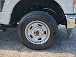 2024 Ford F-250 Crew Cab 4WD Pickup for sale #AEC30791 - photo 17