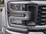 2025 Ford F-450 Crew Cab DRW 4WD Pickup for sale #EC79906F - photo 9