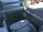 2025 Ford F-450 Crew Cab DRW 4WD Pickup for sale #EC79952F - photo 13