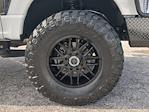 2024 Ford F-350 Crew Cab SRW 4WD Pickup for sale #EE03318T - photo 9