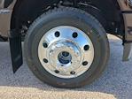 2025 Ford F-450 Crew Cab DRW 4WD Pickup for sale #EE06273T - photo 8