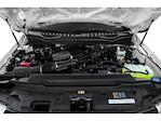 2022 Ford F-350 Crew Cab DRW RWD Pickup for sale #EE78464T - photo 12