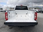 2024 Ford F-350 Crew Cab DRW 4WD Pickup for sale #EF19084F - photo 21