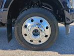 Used 2025 Ford F-450 Platinum Crew Cab for sale #FEC84463 - photo 8