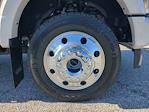 Used 2025 Ford F-450 Platinum+ Crew Cab for sale #FED44023 - photo 8