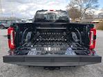 2025 Ford F-450 Crew Cab DRW 4WD Pickup for sale #FED44899 - photo 10