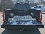 2025 Ford F-450 Crew Cab DRW 4WD Pickup for sale #FED45274 - photo 13