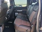 2025 Ford F-450 Crew Cab DRW 4WD Pickup for sale #FED45274 - photo 14