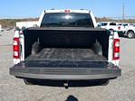 2023 Ford F-150 Regular Cab RWD Pickup for sale #KF88264U - photo 11