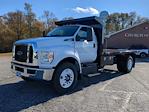 2024 Ford F-650 Regular Cab DRW 4x2, PJ's Platform Body Flatbed Truck for sale #RDF10806 - photo 6