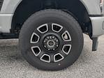New 2024 Ford F-250 Platinum Crew Cab 4WD Pickup for sale #RED14572 - photo 17