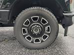 New 2024 Ford F-250 Platinum Crew Cab 4WD Pickup for sale #RED21649 - photo 17