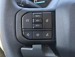 2024 Ford F-250 Regular Cab 4WD Pickup for sale #REF57872 - photo 14
