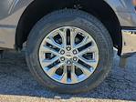 New 2024 Ford F-150 XLT SuperCrew Cab 4WD Pickup for sale #RKF79924 - photo 9