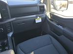 2024 Ford F-150 SuperCrew Cab 4WD Pickup for sale #RKF80710 - photo 15