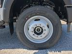 2025 Ford F-600 Regular Cab DRW 4WD Cab Chassis for sale #SDA09068 - photo 9