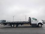 2025 Ford F-650 Regular Cab DRW 4x2, Rollback Body for sale #SDF04569 - photo 3