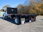 2025 Ford F-650 Regular Cab DRW 4x2, PJ's Platform Body Flatbed Truck for sale #SDF05569 - photo 5